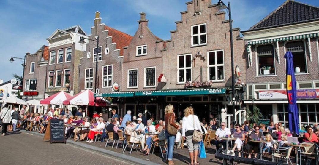 Huisje Britt Met Grote Tuin En Veel Privacy Dirkshorn Ngoại thất bức ảnh