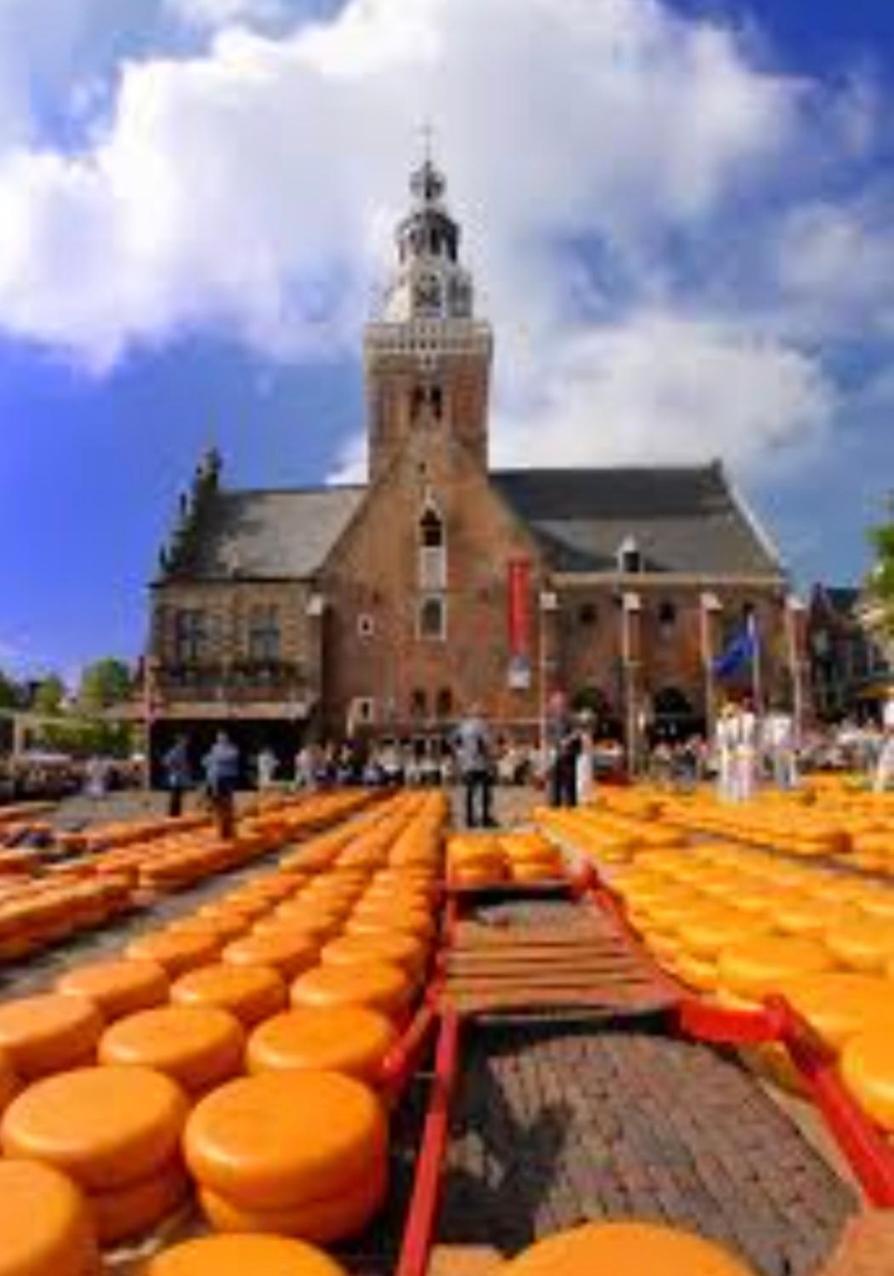 Huisje Britt Met Grote Tuin En Veel Privacy Dirkshorn Ngoại thất bức ảnh