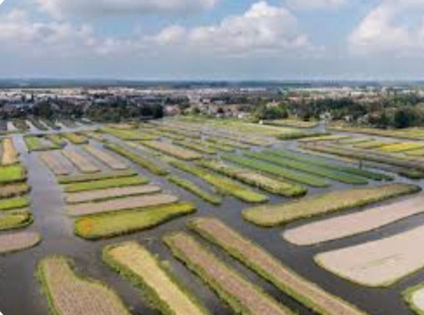 Huisje Britt Met Grote Tuin En Veel Privacy Dirkshorn Ngoại thất bức ảnh